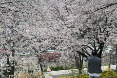 KakaoTalk_20240405_135324781_16